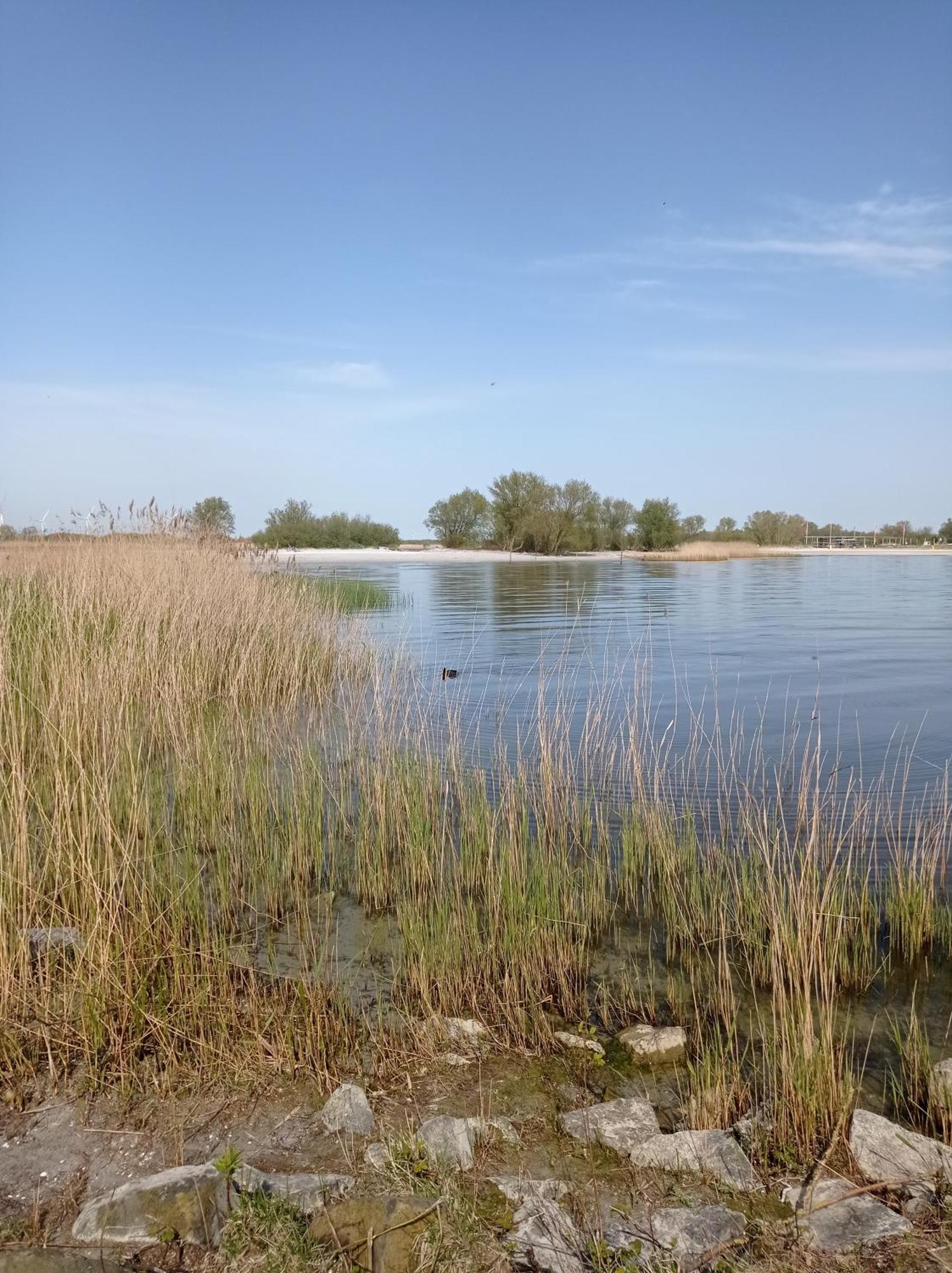 Appartement Ijsselmeer Makkum Strand מראה חיצוני תמונה